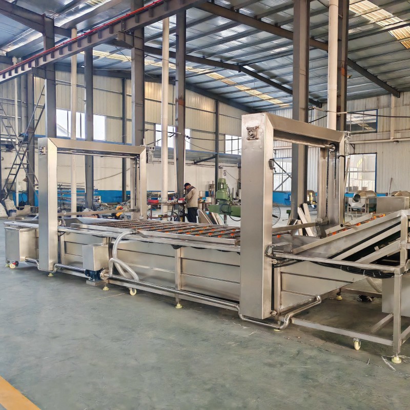 New Washing Machine for Green Coconut with Core Components Pump Engine PLC for Manufacturing Plants Food Shops