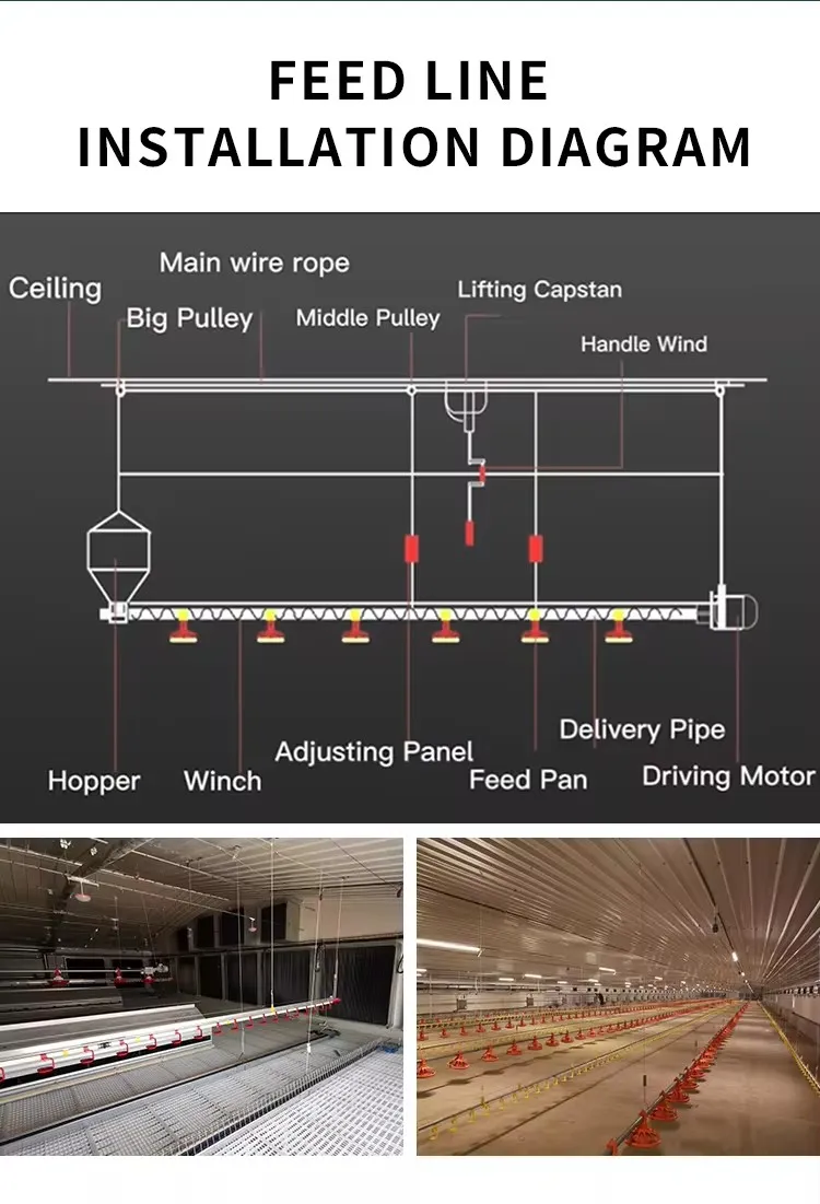 Easy Cleaning Smart Poultry Feeding And Drinking System For Chicken Broilers