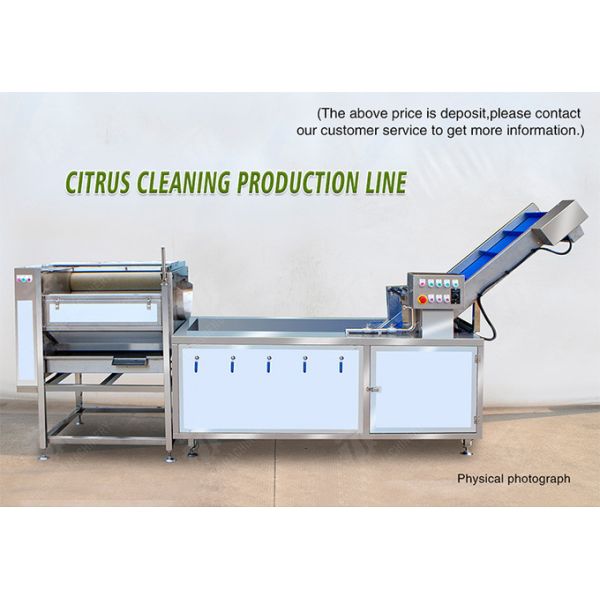Citrus Stalk Eliminated Lemon Processing Machinery Industrial Air Bubble Brush