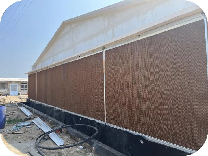 Galvanized Construction Chicken Farm H Type Layer Cage With Automatic Egg Collection