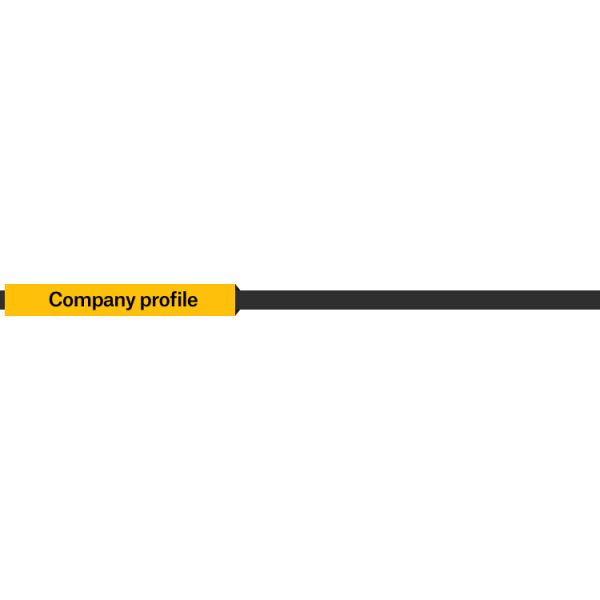 On-Road Electric Cargo Car with High Grade Ability and EEC Certification