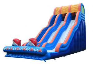 Quality Large Inflatable Slide Inflatable Water Slide  Party Slide For Kids and Adults for sale
