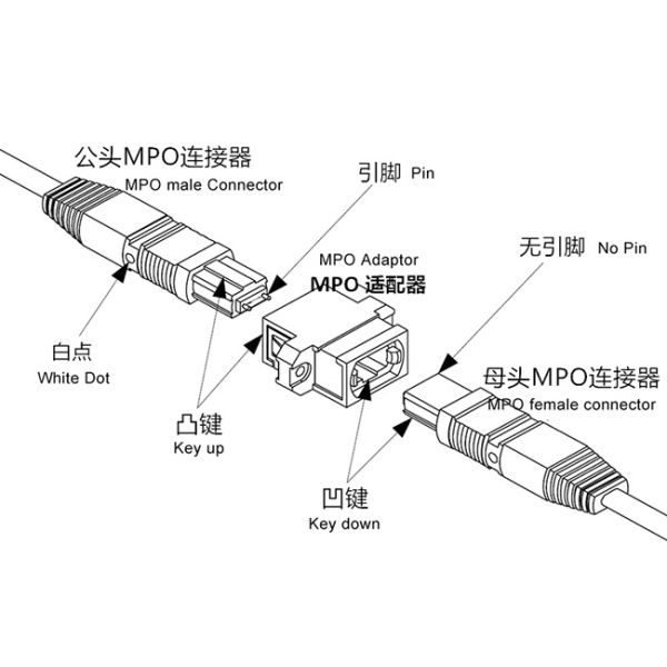 48 Core MPO MTP Cable with LSZH Material and Custom Length MPO Optic Jumper