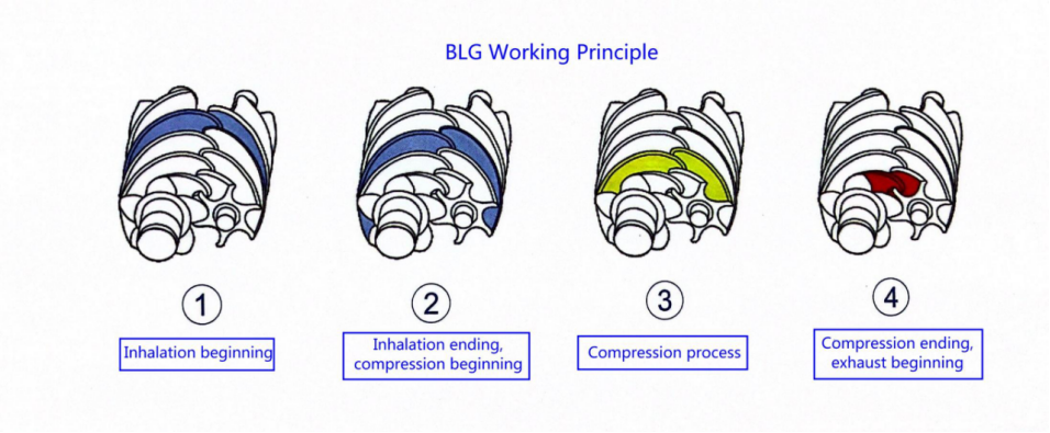 BLG250LA DN200,40-120Kpa,Self-lubricating Permanent Magnet Variable Frequency Screw Blower
