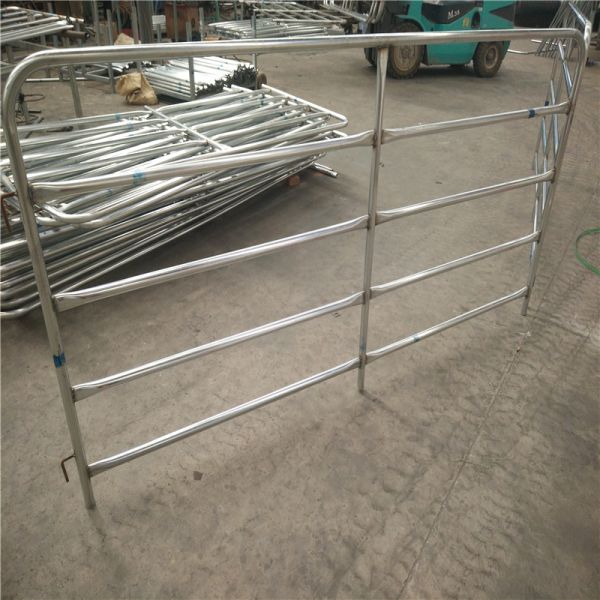 Cattle Panels 50mm * 50mm RHS * 1.6mm thickness