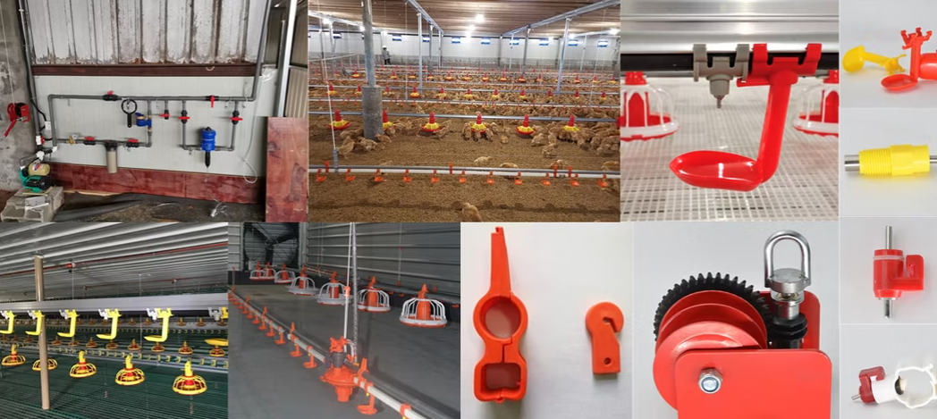 Automatic Poultry Feeding System with Galvanized Steel Construction and Automatic Feeding Control for Chicken Farm Equipment