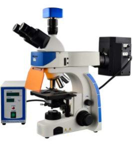 Trinocular Biology Lab Microscope 40X 100X Epi Fluorescence Microscope