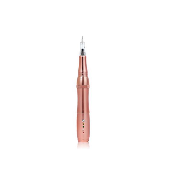 Golden Rose Cordless 11U Permanent Makeup Machine Kit