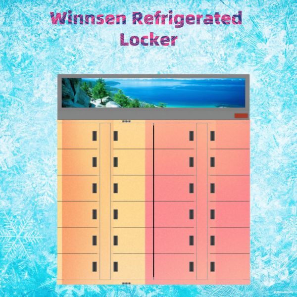 Flowers Goods Refrigerated Locker Winnsen Touch Screen Android System