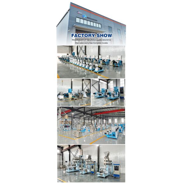 automatic Feed Making Machine Pet Cat Dog Rabbit Fish Feed Extruder Granulator Machine Animal Feed Processing Machinery for sale