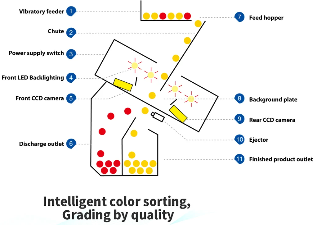 Multi-Functional Pine Nut Apricot Peanut / Groundnut Color Sorting Machine Color Separator