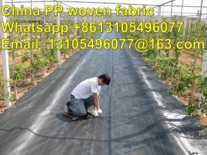 Quality 2m x 25m 100g Weed Control + Pegs + Sheet Ground Cover Membrane Landscape Fabric for sale