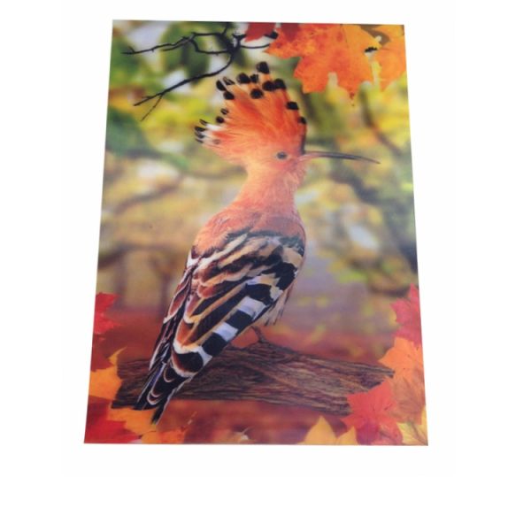 Waterproof 0.40mm PET Aquarium Pattern Paper Print Poster