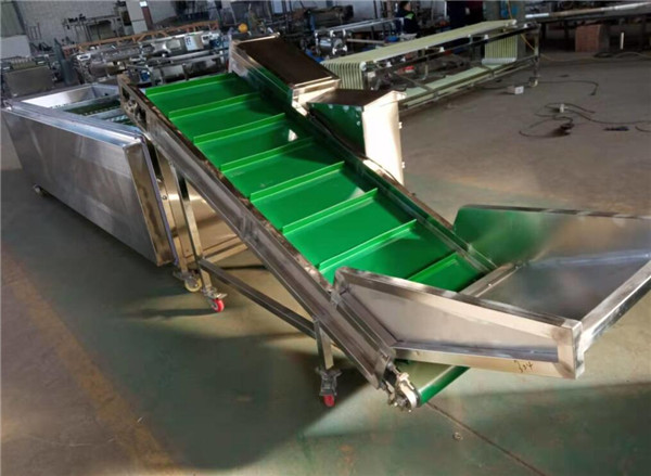 mushroom sorting machine, mushroom grading machine, mushroom grader