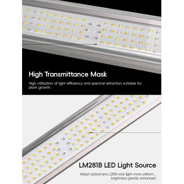 Customized Full Spectrum Dimmable 120W 150W 4Ft Grow Light Under Inter Canopy LED for Micro-green