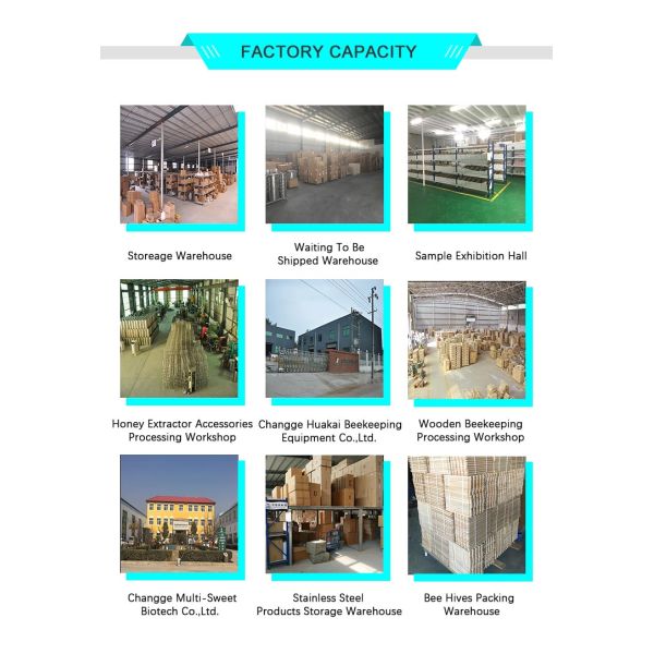 8 Frames Electric Honey Extractor 250W Honey Extraction Equipment