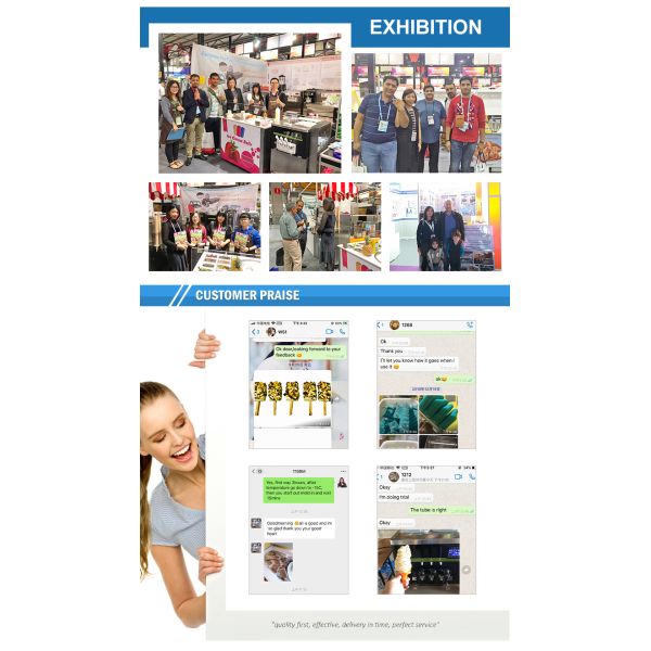 Easy to Cleaning Operation High Quality Popsicle 1-4 Mold Popsicle Machine Supplier