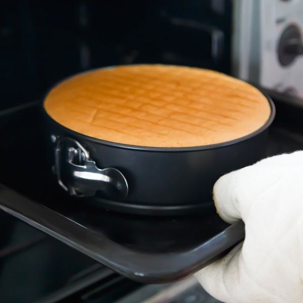 9 Inch Non-stick Springform Pan/Cheesecake Pan/Leakproof Cake Pan Bakeware