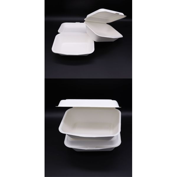 Biodegradable Meal Disposable Biodegradable Compostable Tray Bento Lunch Meal Box Takeaway Plastic Food Container