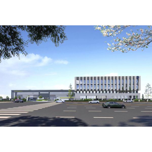 Direct Supply 2 * 1.2-meter 500kg Carbon Steel Platform Weighing Scale with Digital Indicator and AC/DC Power Supply