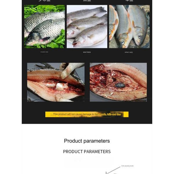 Restaurant Automatic Fish Cleaning Machine with Continuous Fish Killing Function