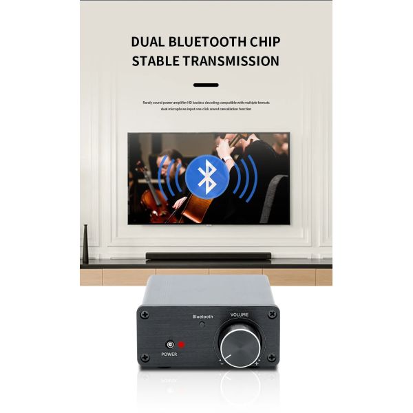 TPA3116 Digital Sound Power Amplifier 100W X2 Mini HiFi Stereo Class D Audio Power Amplifiers for Home Theater