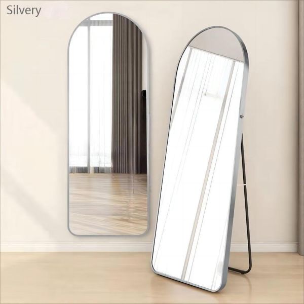 Personalized Large Length Mirrors for Wall Decor in Luxury Dance Studio