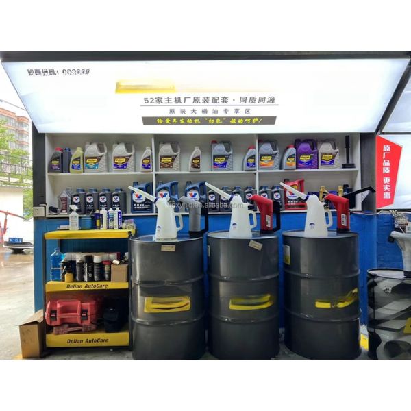Vertical Installation Electric Barrel Fuel Transfer Pump with Automatic Function