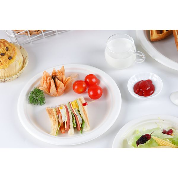 Disposable Dinnerware Set, Compostable Plant Based Cutlery Eco-Friendly Tableware