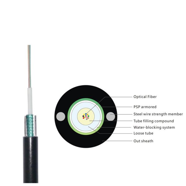 PE Material Fiber Optic Patch Cord G652D Singlemode 12 Core Unitube Light Armored