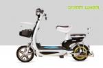 Small Lovely Pedal Assist Electric Bike , Power Assisted Electric Bicycle 48V