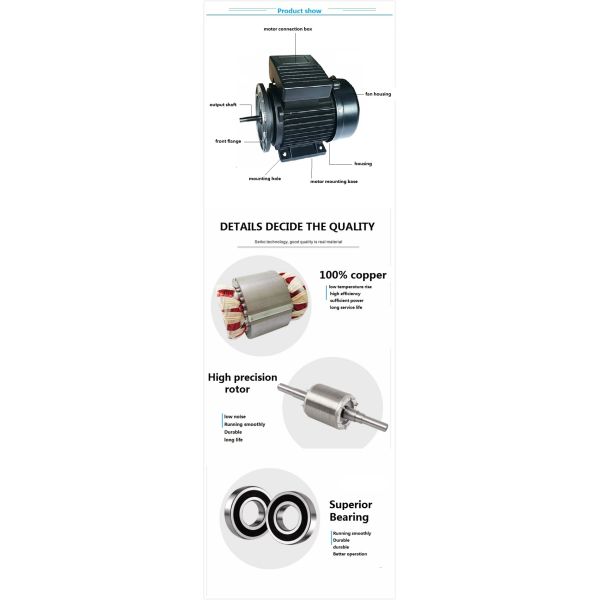 single phase induction motor