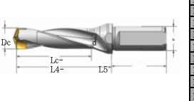 HSS Customized Step Drills Exchangeable Tip Drills Dc 12.5-42 High Precision